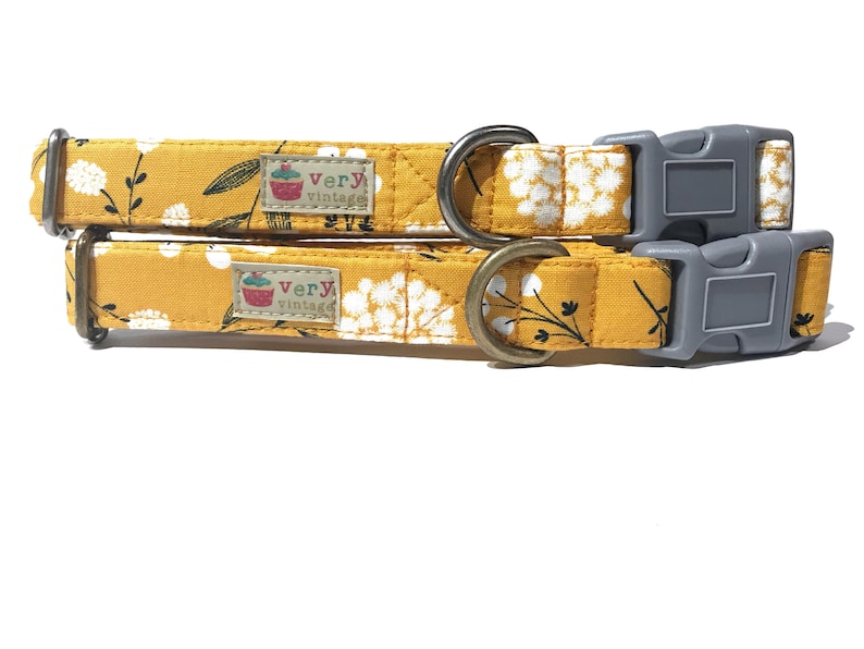 Two pet collars with mustard yellow background and white wildflower print, featuring gray buckles and antique brass and antique silver hardware. Displayed on a white background.