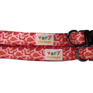 Grill Master Dog Collar | Sausage Dog Collar | Funny Pet Collar | Nylon Dog Collar | Adjustable Dog Collar | Active Dog Gear