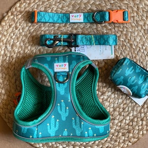 Tiny Dog Harness Set Harness Vest Bundle Cactus Dog Harness Cactus Cat Harness Step in Harness Small Dog Harness Eco-friendly image 1