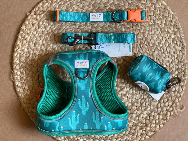 Tiny Dog Harness Set Harness Vest Bundle Cactus Dog Harness Cactus Cat Harness Step in Harness Small Dog Harness Eco-friendly image 1