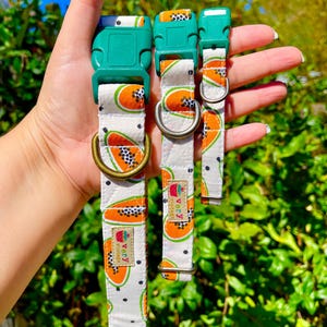 Papaya Dog Collar & Cat Collar – Cream Cotton with Fun Papaya Print, Fruit Lovers Gift, Organic Cotton, Summer Pet Accessory, Adjustable