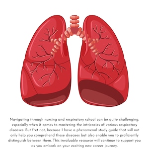 May include: Illustration of the human respiratory system, showing the lungs and trachea. The caption reads "Respiratory System Disorders: A study Guide for Nursing & Respiratory Students".