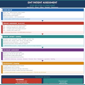 May include: An EMT patient assessment step-by-step flowchart. The chart is color-coded with sections for scene size-up, primary assessment, history, secondary assessment, reassessment, and transport decision. Includes medical terminology.