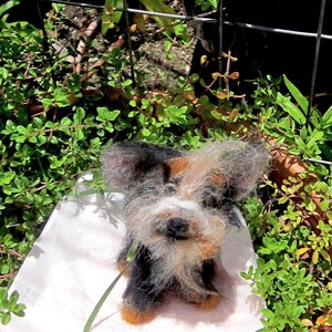 Needle Felted Puppy Dog Doll/Yorkshire Terrier/ Little Piccolo, Cries and Giggles