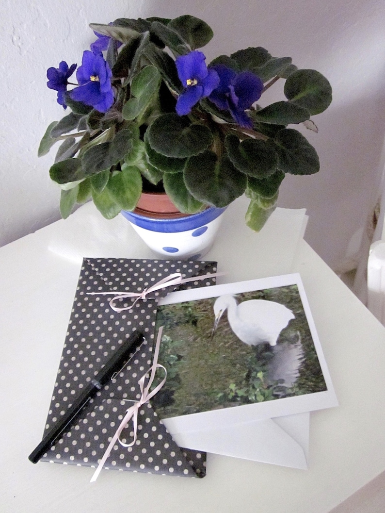 Assorted Blank Note Card Set Photographic Fine Art Cards / as Etsy