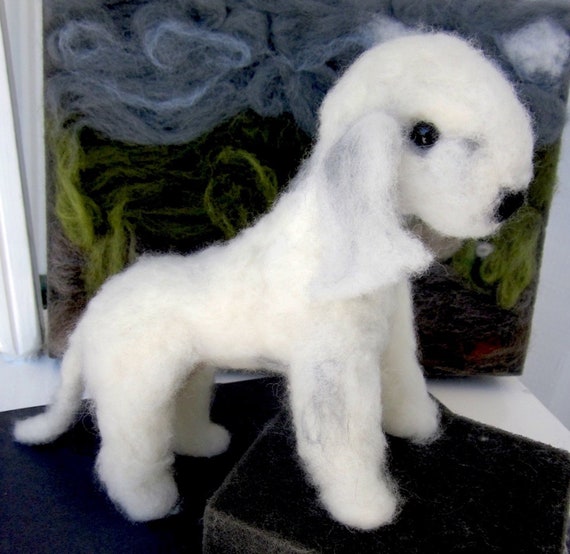 bedlington terrier teddy