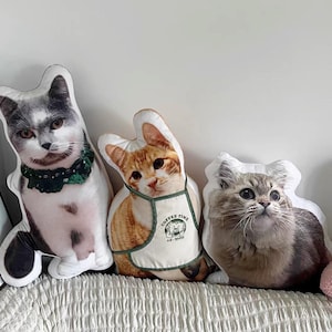 Personalized Pet face Pillow 3D Cat Dog Pillow Custom Pet Shaped Pillow Pet Pass Away Gift Memorial Gift Pet Loss Gift for Dog Lover