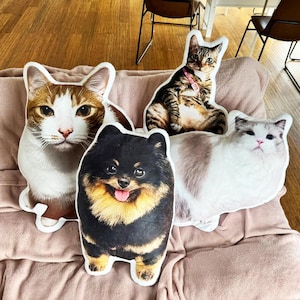 Custom 3D Pet Pillow Cat/Dog Pillow from Photo Personalized Pet Shaped Pillow Pet Memorial Gift Pet Birthday Gift Pet Lover Gift for school
