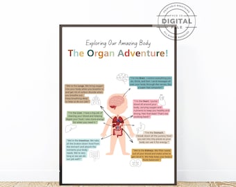 Body Parts for Kids Poster, Human Anatomy, Educational Wall Art, Classroom Decor, Body Organs, Homeschool Printables, Montessori Learning