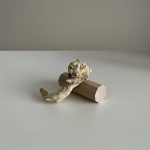 Oddlings #3 - Burl Ives Desktop Totem