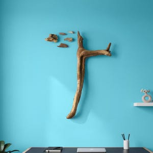 Selfie submarino — Arte mural costero de madera a la deriva / Poseidón se toma una foto con una concha