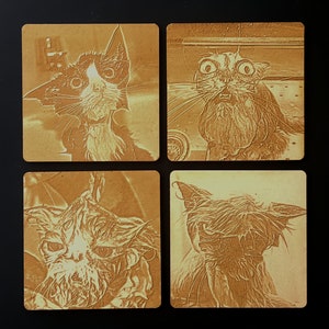 set of 4 &#39;Wet Cats&#39; laser-engraved wooden coasters