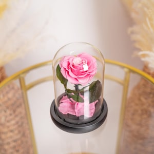 Heart Shaped Preserved Rose in Glass Dome: Eternal Pink Rose