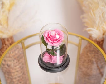 May include: A pink rose in a glass cloche. The rose has green leaves and is set on a black base. The cloche sits on a gold-framed glass table. Decorative elements are in the background.