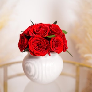 Forever Rose| Preserved Roses| Eternal Rose| Preserved Flowers| Christmas Gift| Valentines Gift| Mother’s Day Gift