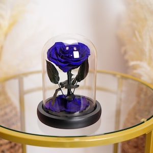 Heart Shaped Rose | Preserved Rose in Glass Dome| Eternal Rose|Forever Rose| Blue Roses| Preserved Flowers| Christmas Gift
