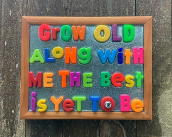 Grow Old Along with Me Framed Wall Art, upcycled toys