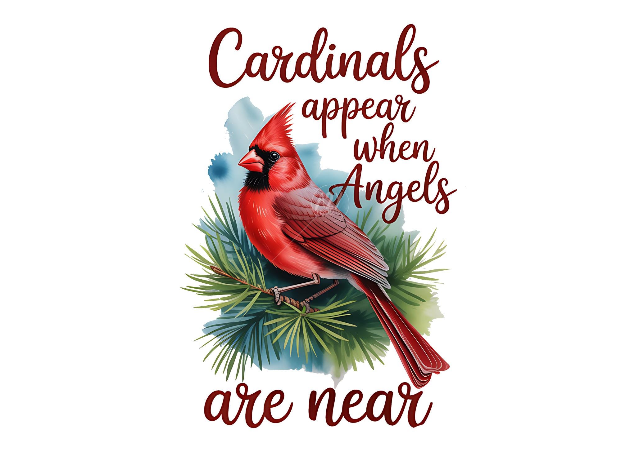 Cardinal Memorial PNG, Cardinals Appear When Angels Are Near, in Loving ...