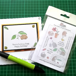 Può includere: Un biglietto di compleanno con un'illustrazione di riccio e il testo "You're looking sharp, Happy Birthday!". È visibile anche un pacchetto di adesivi a tema riccio. Lo sfondo è un tappetino da taglio verde.