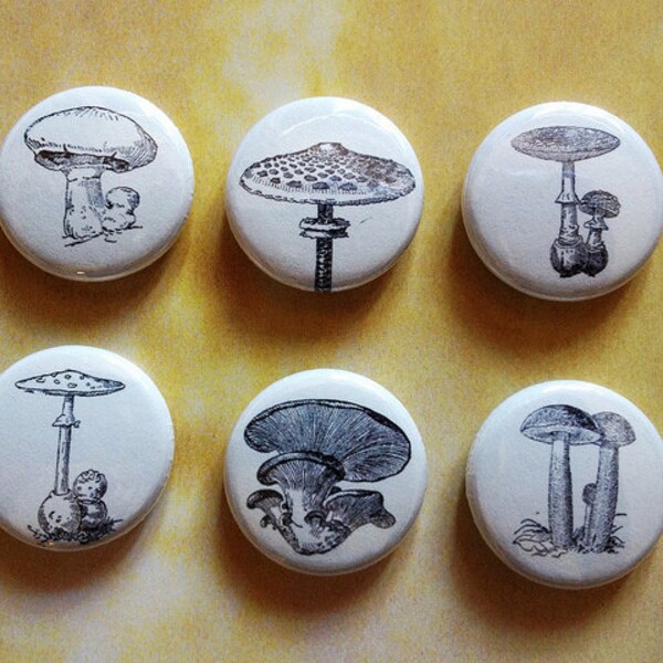 Mushroom pinback button badge