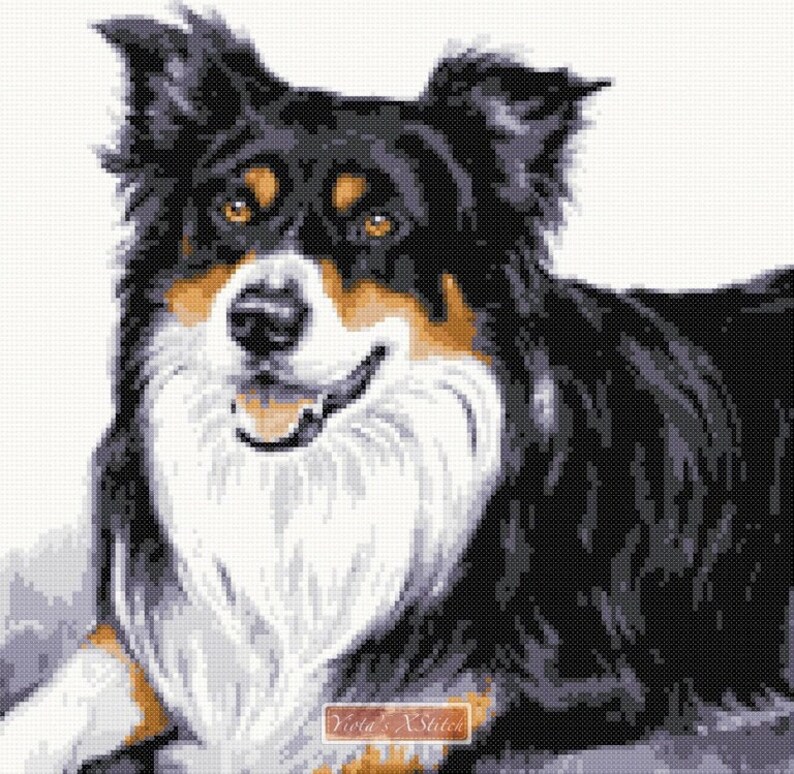 Tricolour border collie counted cross stitch kit Etsy