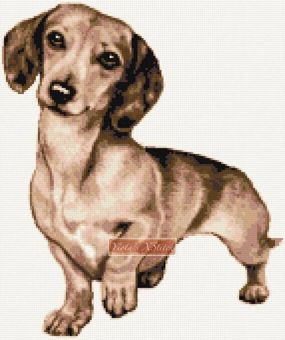 Cane Bassotto Punto Croce Kit