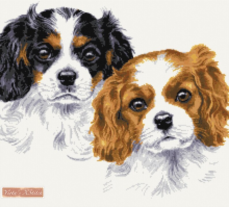 Cavalier King Charles Puppies Counted Cross Stitch Kit Etsy