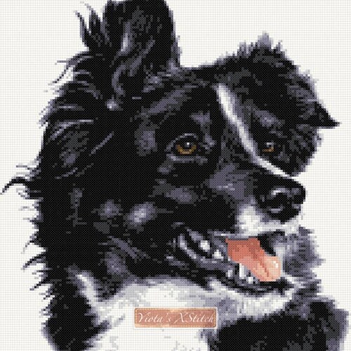 Border Collie Dog Counted Cross Stitch Pattern PDF - Etsy