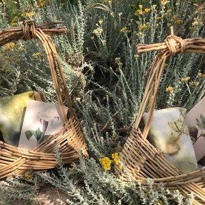 May include: Two woven wicker baskets with handles, each containing a fabric cushion with a botanical print. One basket has a print of a white flower, the other has a print of a fig.