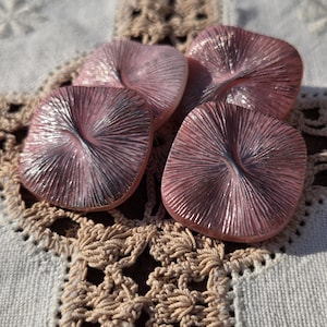 May include: Four pink, square-shaped buttons with a textured, radial design. The buttons are arranged on a cream-colored, crocheted doily, creating a vintage aesthetic. The buttons have a glossy finish and a central, darker-colored indentation.