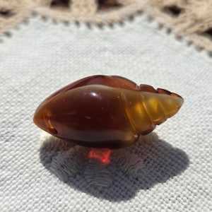 May include: A carved amber pendant in the shape of a seashell. The pendant is a deep orange color with a lighter orange swirl in the center.