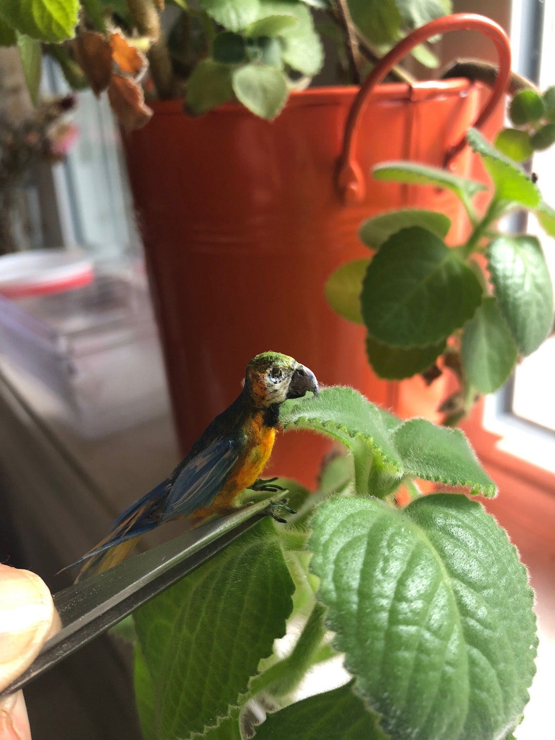 Miniature Dollhouse 1:12 Macaw Bird by Woolytales Miniatures - Etsy - Macaw Mini Habitat Kits