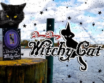 Witchy Cat Tarot Tuck Box Edition Dame Darcy Cat Tarot Deck