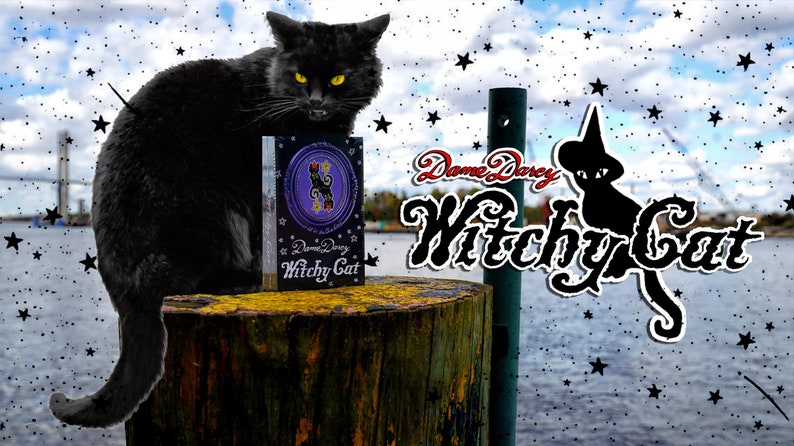 Witchy Cat Tarot Tuck Box Edition Dame Darcy Cat Tarot Deck image 1