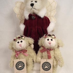 Puede incluir: Una colecci&oacute;n de peluches con un oso &aacute;ngel y dos ovejas Lilith Angel Ewe. El oso &aacute;ngel tiene pelaje color crema, alas y un abrigo burdeos. Las ovejas tienen pelaje color crema, coronas florales y lazos rosas. Cada oveja tiene una etiqueta.