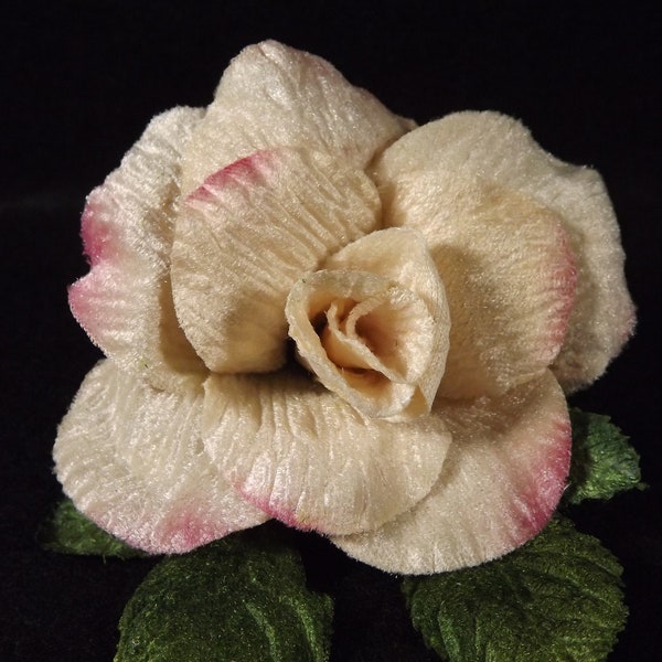 Velvet Cream Pink Edges Rose 3 inch Green Velvet Leaves, Millinery Flower Crown Bridal Wedding Corsages Boutineers Crafts