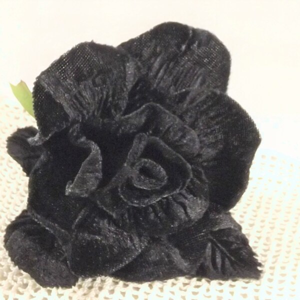 Black Velvet Roses Etsy