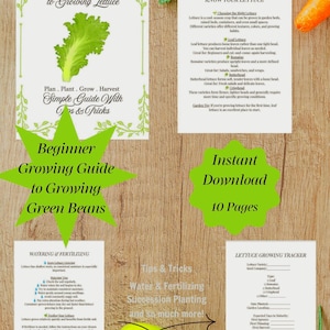 May include: A ten-page digital gardening guide titled Beginner's Guide to Growing Lettuce, featuring sections on lettuce varieties, watering, fertilizing, and a tracking sheet. The pages include text, green leaf illustrations, and decorative borders.