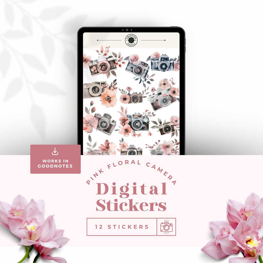 Dusty Rose Pink Goodnotes Stickers Camera | Everyday Aesthetic Digital ...