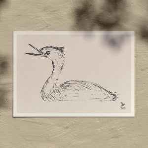 GREBE 15x18 ungerahmt Kunstdruck – süße Vogel Zeichnung Bleistift Zeichnung Skizze Druck – minimalistischer Vogel One Piece Poster – französisches Land - Vogel Kunst