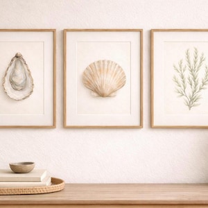Coastal Wall Art Set of 3 Printable Instant Dowload Oyster Scallop Seaweed Minimalist Home Decor