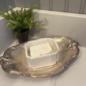 May include: A silver-colored, ornate, oval-shaped tray with a white ceramic soap dish containing a bar of soap. A small potted fern is in the background. The soap has a speckled appearance.