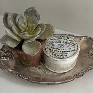 May include: A silver-toned metal tray with ornate edges holding a small potted succulent and a round white ceramic container labeled Maw's Indian Betel Nut or Areca Tooth Paste, S. Maw, Son & Thompson, Aldersgate Street, London, England.