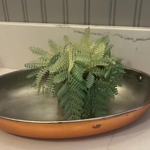 May include: An oval copper serving dish with a metallic silver interior and two brass-toned side handles. A small, artificial green fern plant with light and dark green fronds is placed inside the center of the shallow metal vessel.