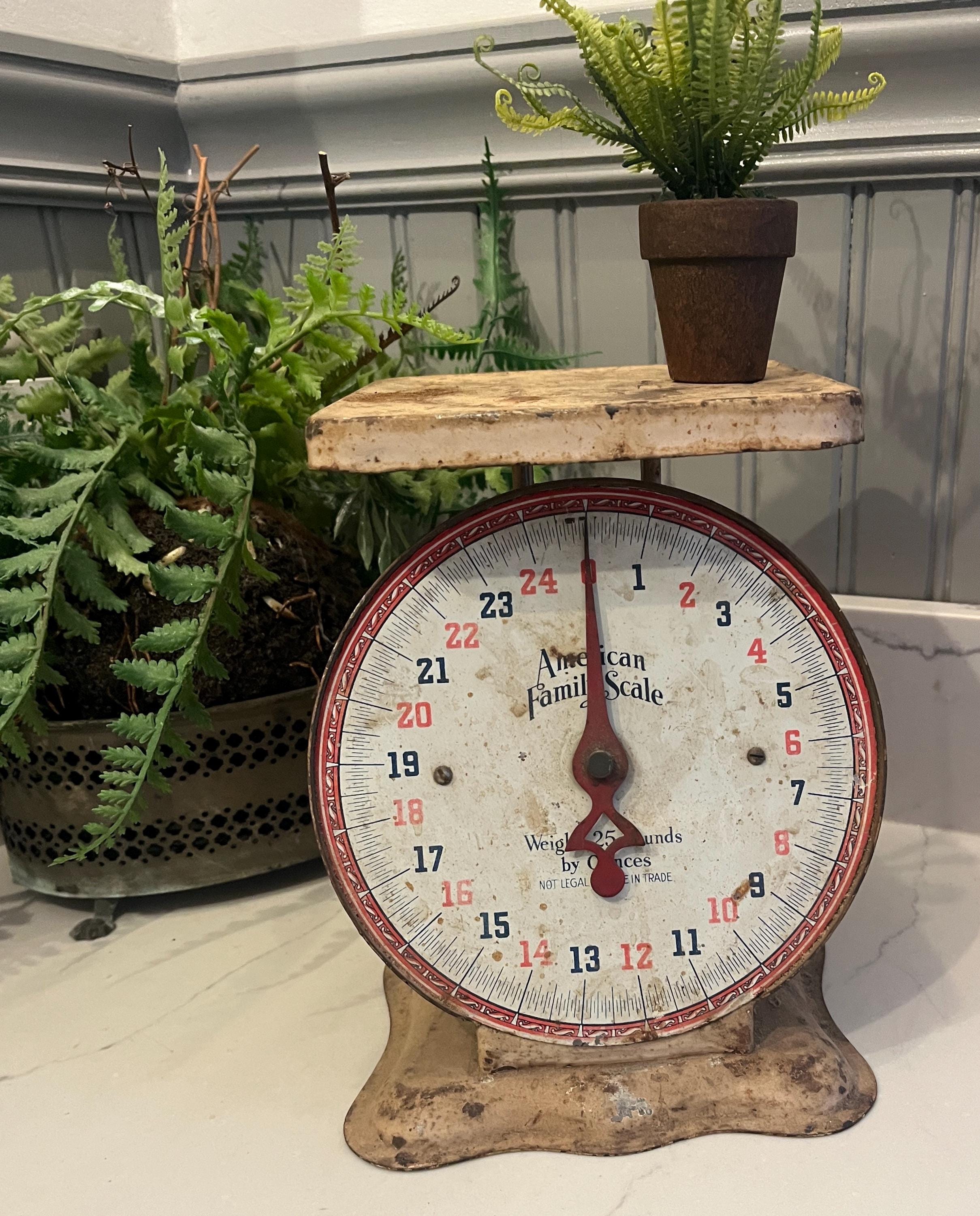 American Family Scale - Etsy