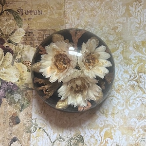 May include: A clear, spherical paperweight containing three preserved white flowers with golden-brown centers. The flowers are encased within a smooth, transparent resin sphere, showcasing the delicate petals and natural textures of the dried botanical elements.