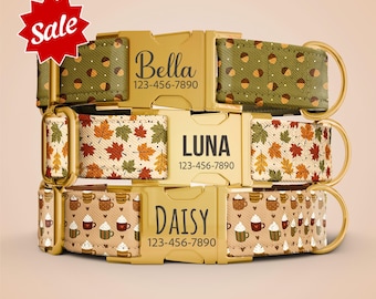 Personalized Fall Dog Collar with Leash, Girl Dog Collar, Thanksgiving Collar Name Engraved Female Dog Collar & Leash OP-244
