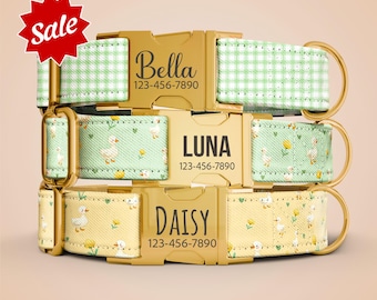 Custom Dog Collar - Personalized Gold Buckle Dog Collar With Leash, Engraved Name OP-225