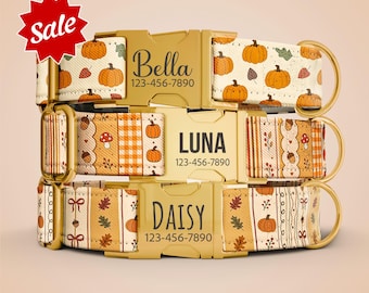 Halloween Pumpkins Dog Collar with Leash, Girl Dog Collar, Dog Collar Name Engraved, Personalized Fall Halloween Pumpkin Boy Collar OP-237