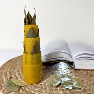 Financial Luck Spell Candle for Prosperity, Fast Cash, Business Success, Money Magick, Wealth Booster
